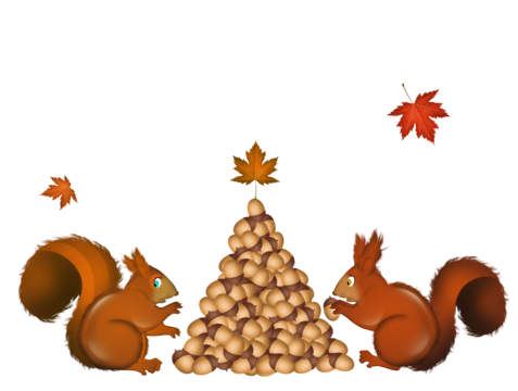 Cute tree png transparent images free download vector files