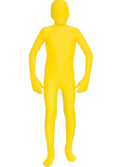 Theme costumes