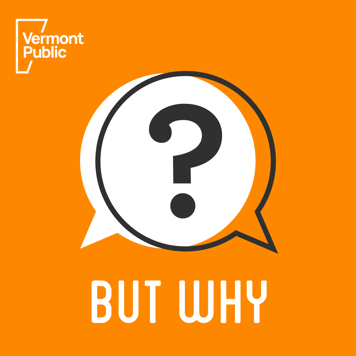 But why a podcast for curious kids