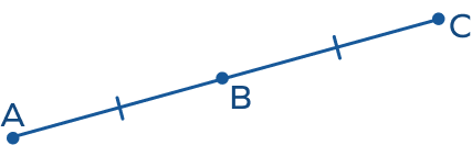 Segment bisector