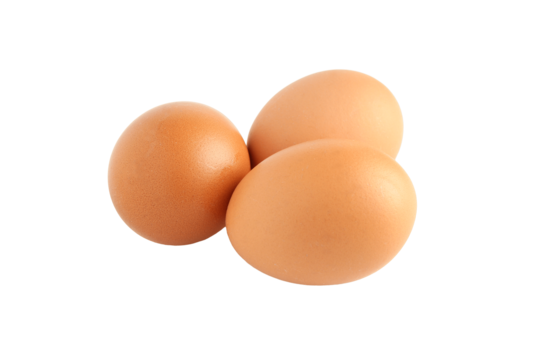 Three chicken png transparent images free download vector files