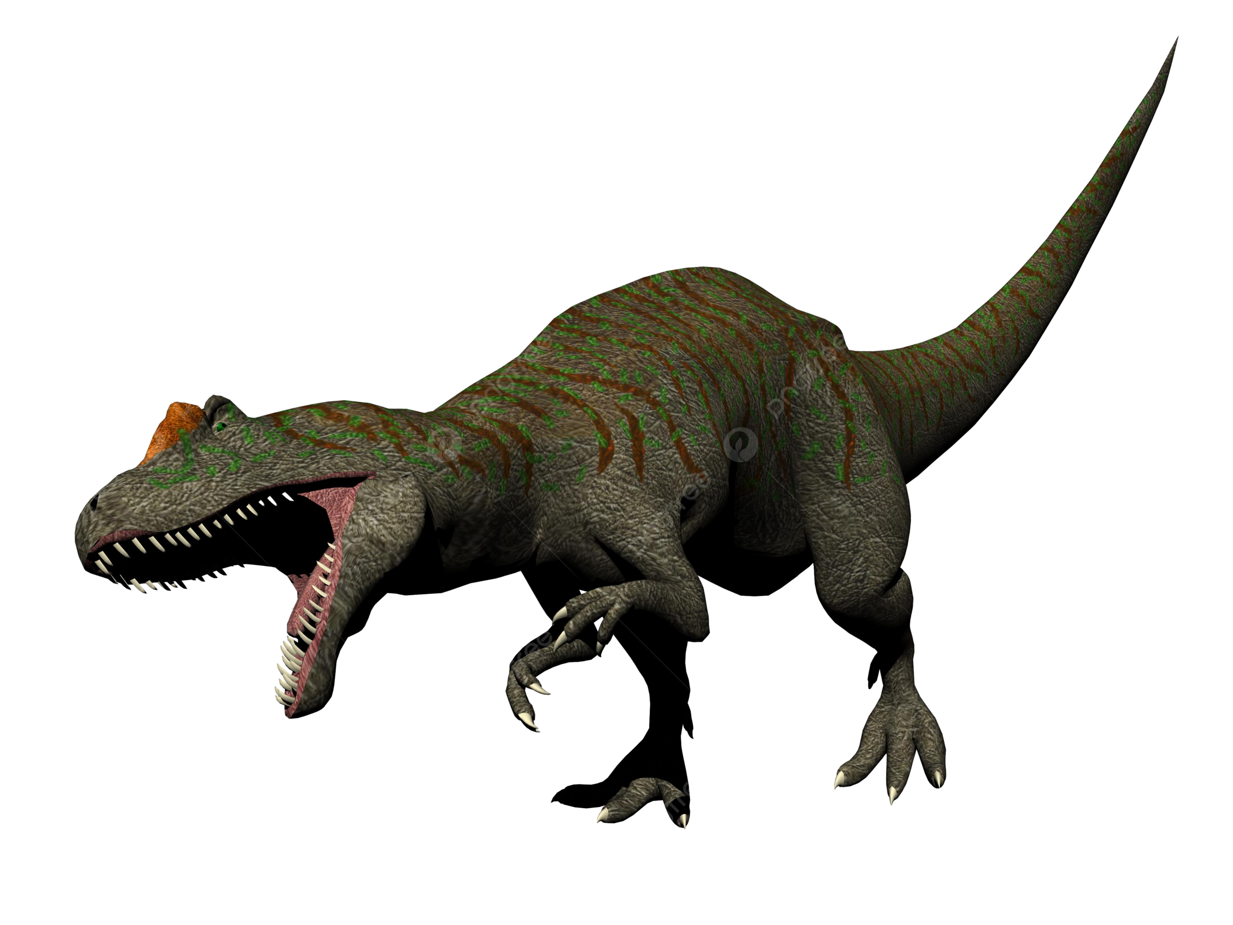 Allosaurus png transparent images free download vector files