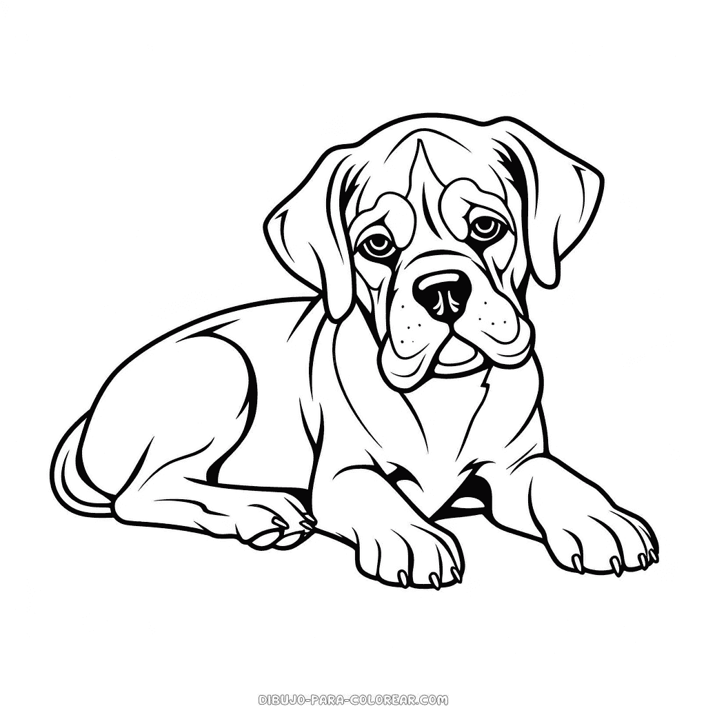 Dibujo de perro bãxer descansando para colorear dibujo para colorear