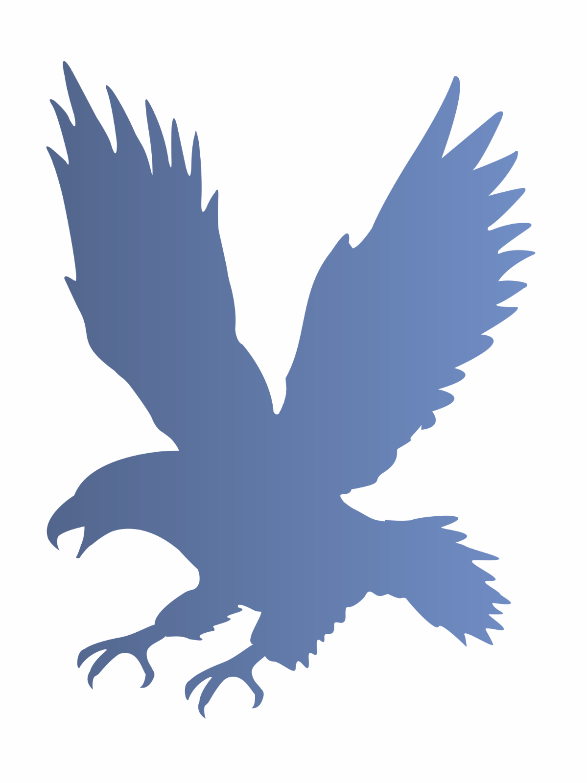 American bald eagle stencil golden bird fly reusable template diy signs joanie