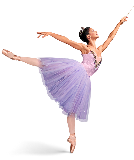 Cours hiver makam danse