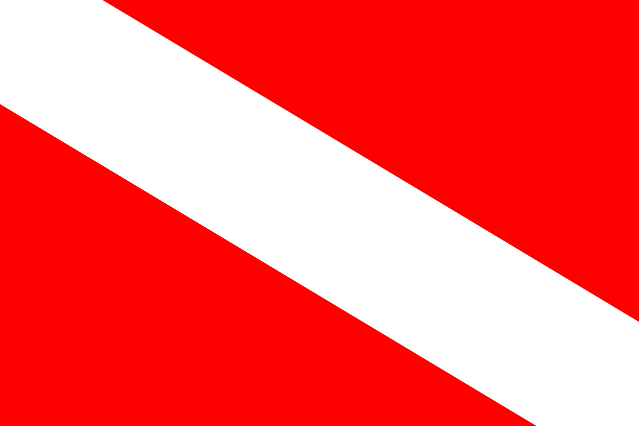 Fileflag of barotselandsvg
