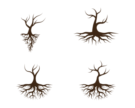 Tree with roots logo images â browse photos vectors and video