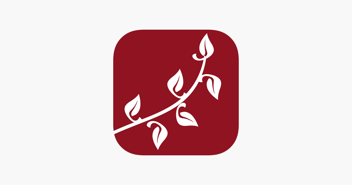 Luthers small catechism on the app store