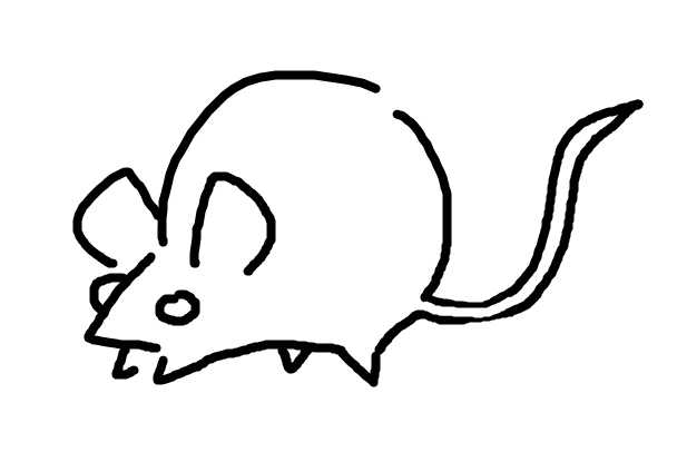 The rat king theratking x