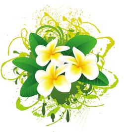 Vectorflourish wiki
