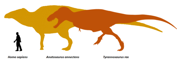 If tyrannosaurus had a rival or nemesis in nature what would it have been