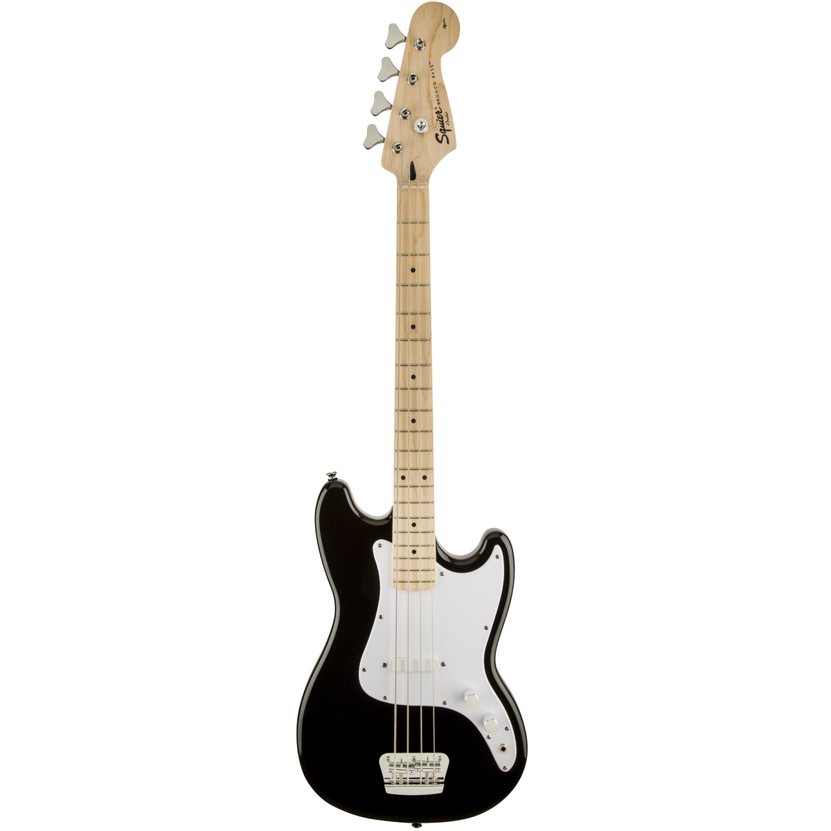 Squier