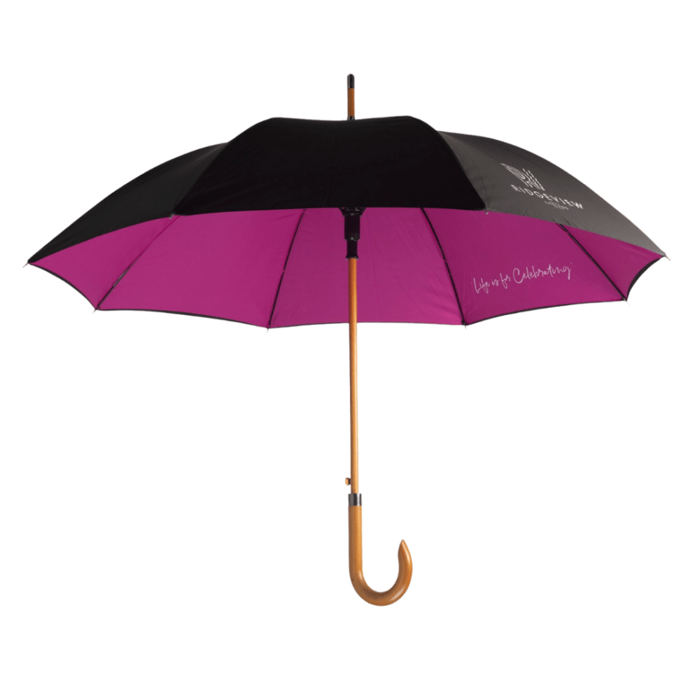 The umbrella