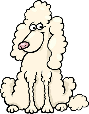 Lichaamskussen poedel hond cartoon illustratie
