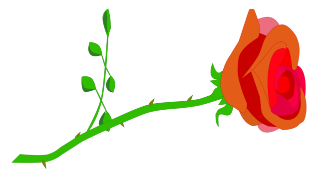Rose drawing png transparent images free download vector files