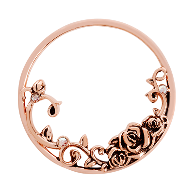 Origami owl disney princess belle charms lockets and more