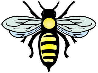 Fileabeille