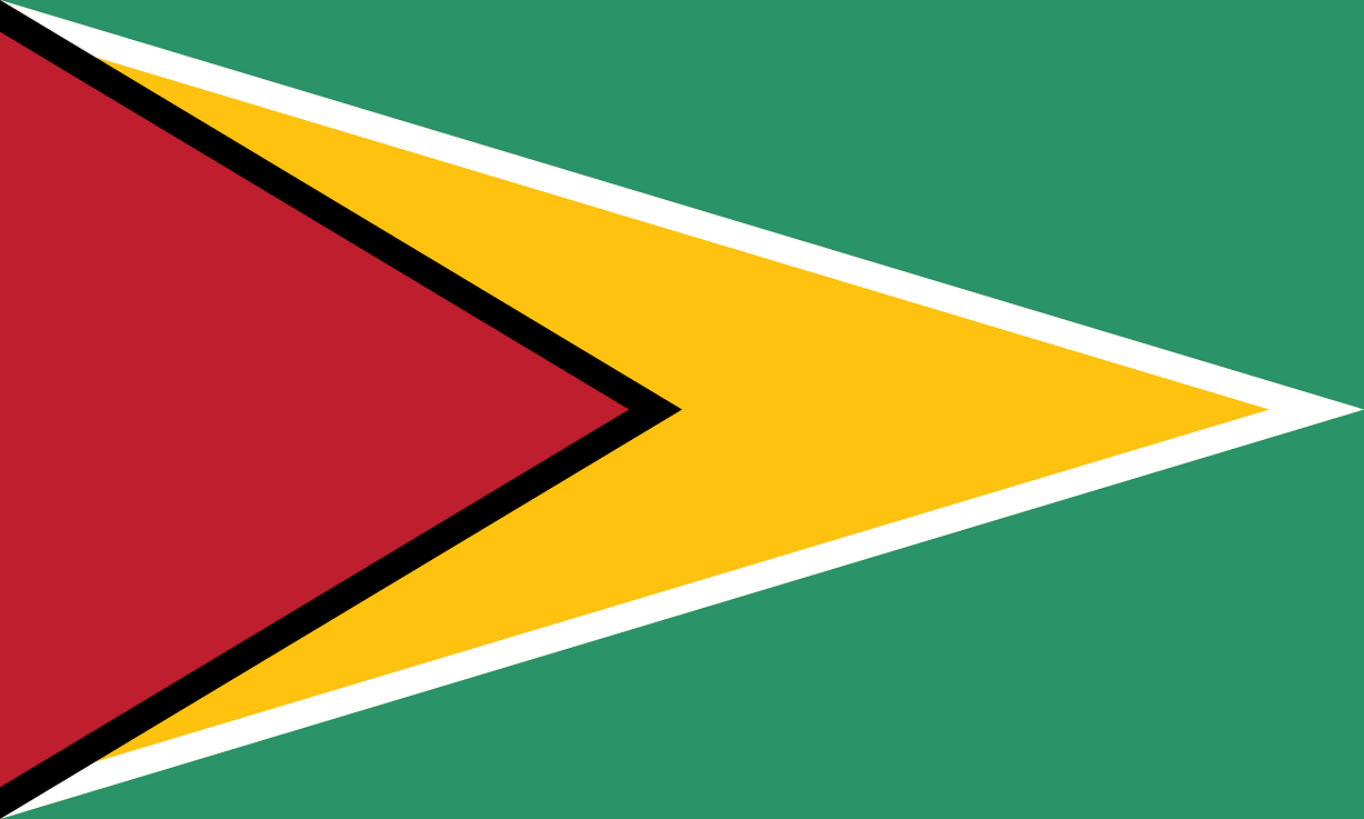 Do flags without coats of arms look better with them survey day