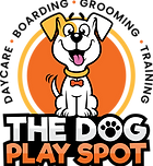 Dog daycare the dog play spot wilmington nc