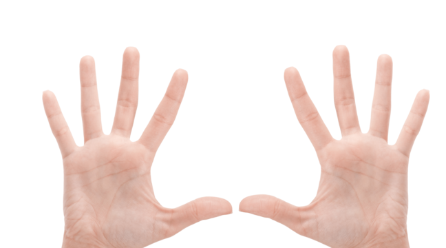Palm greeting png transparent images free download vector files