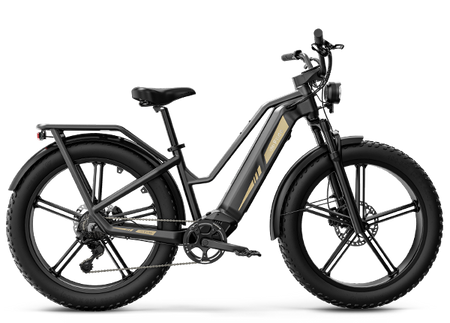 Electric bikes and electric scooters for unique riders