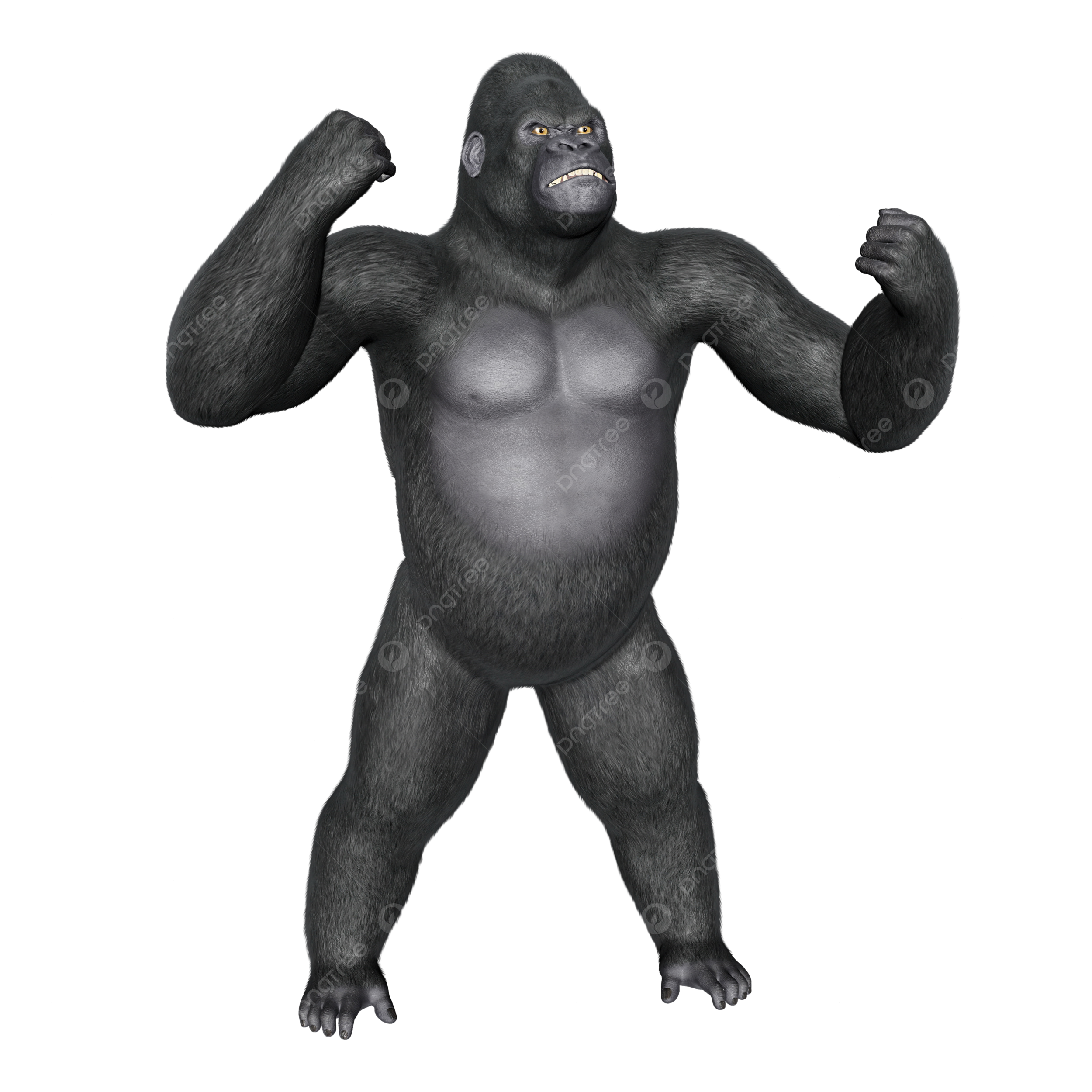 Silverback gorilla png transparent images free download vector files
