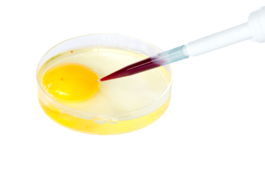 Gene editing png transparent images free download vector files