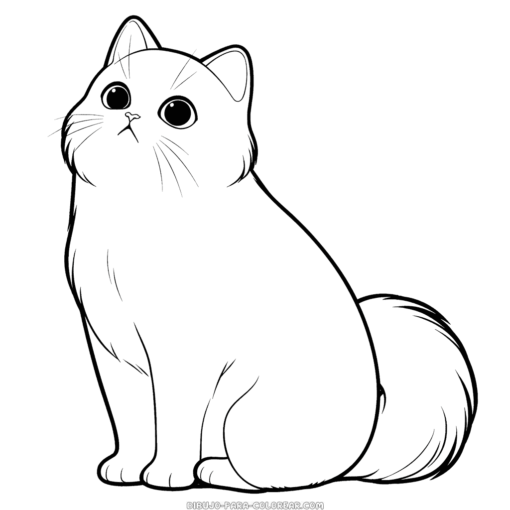 Dibujo de gato adulto para colorear dibujo para colorear