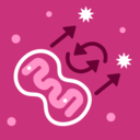 Intro to biogeochemical cycles article khan academy
