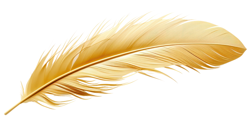 Golden feather pen images free photos png stickers wallpapers backgrounds