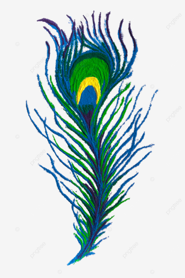 Colorful peacock feather rangoli design peacock rangoli bright png transparent image and clipart for free download