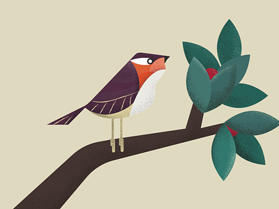 Illustrator brushes designs themes templates and downloadable graphic elements on