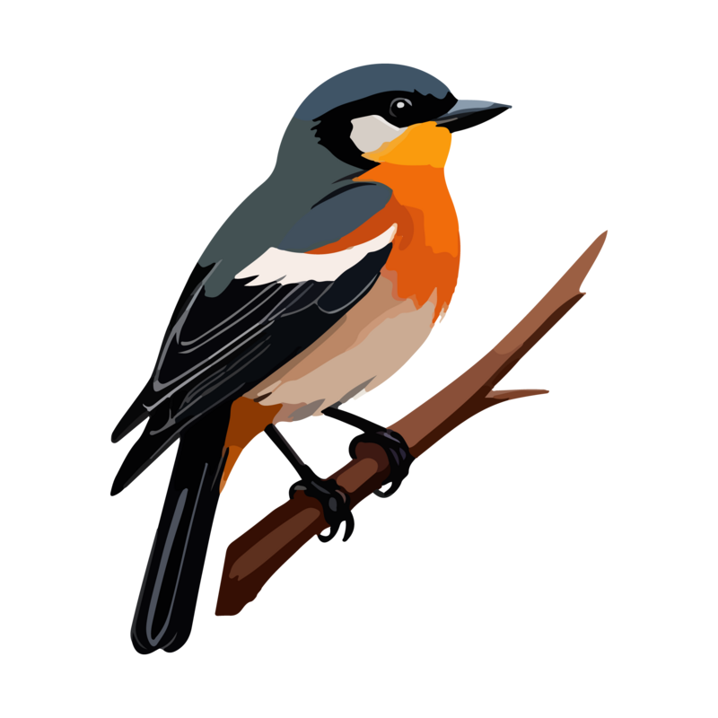 Vintage detailed bird icon png images eps free download