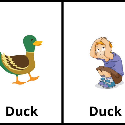 Homonyms flashcards for kids with google slides made by teachers