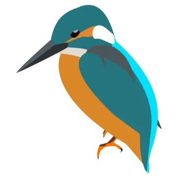 Kingfisher drawing png transparent images free download vector files