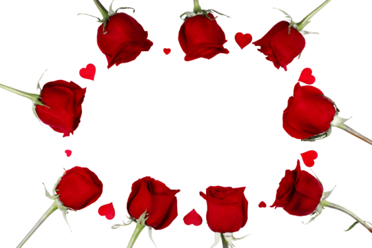 Top border png transparent images free download vector files