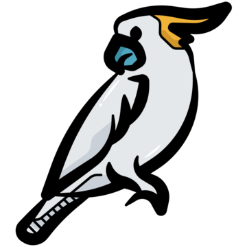 Cockatoo bird images â browse photos vectors and video