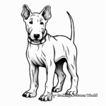 Bull coloring pages