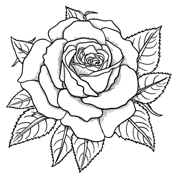 Rose malvorlageââ kostenloses ausmalbild