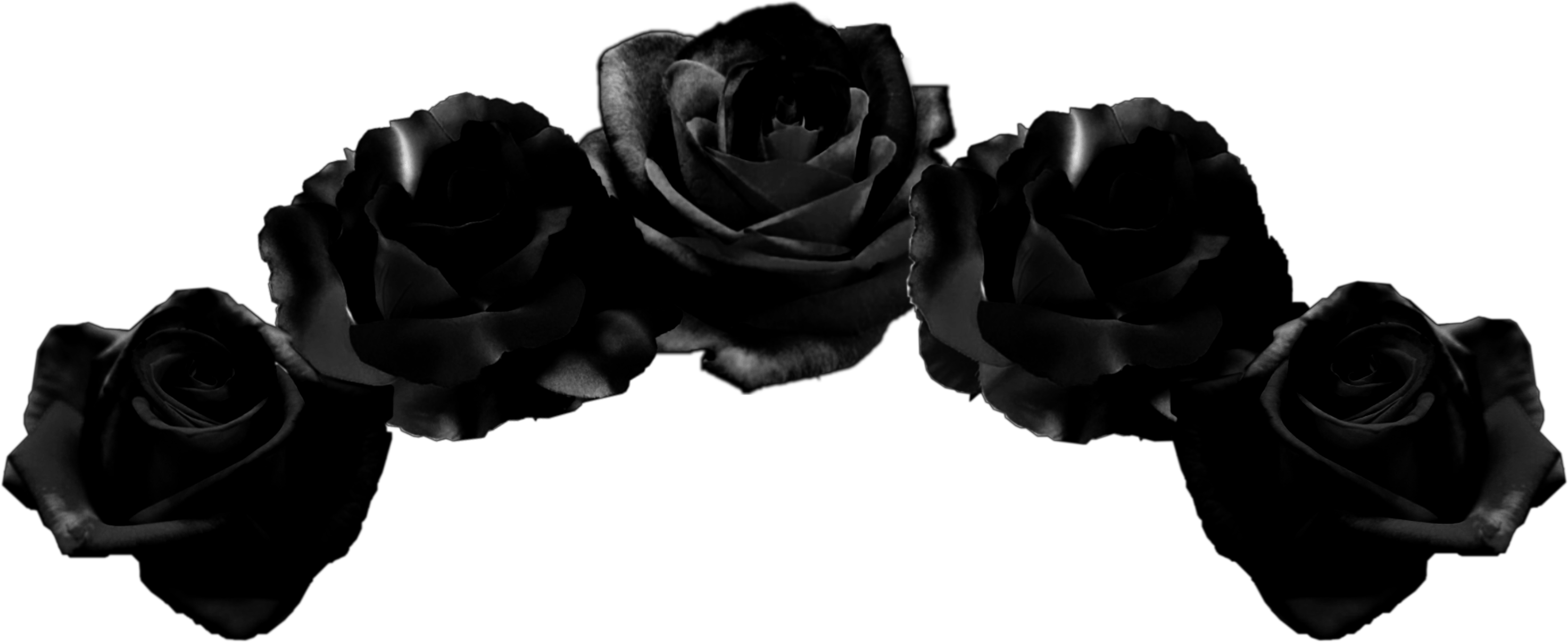 Blackflowercrown flowercrown flowers crown black