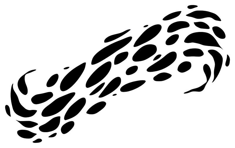 Leopard shark images free photos png stickers wallpapers backgrounds