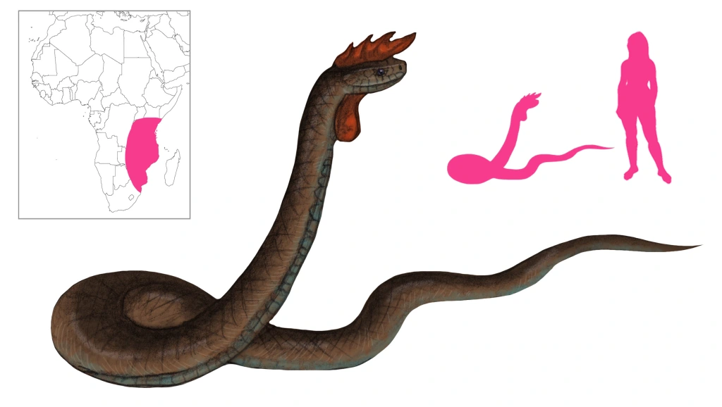 Crowing crested cobra cryptid wiki