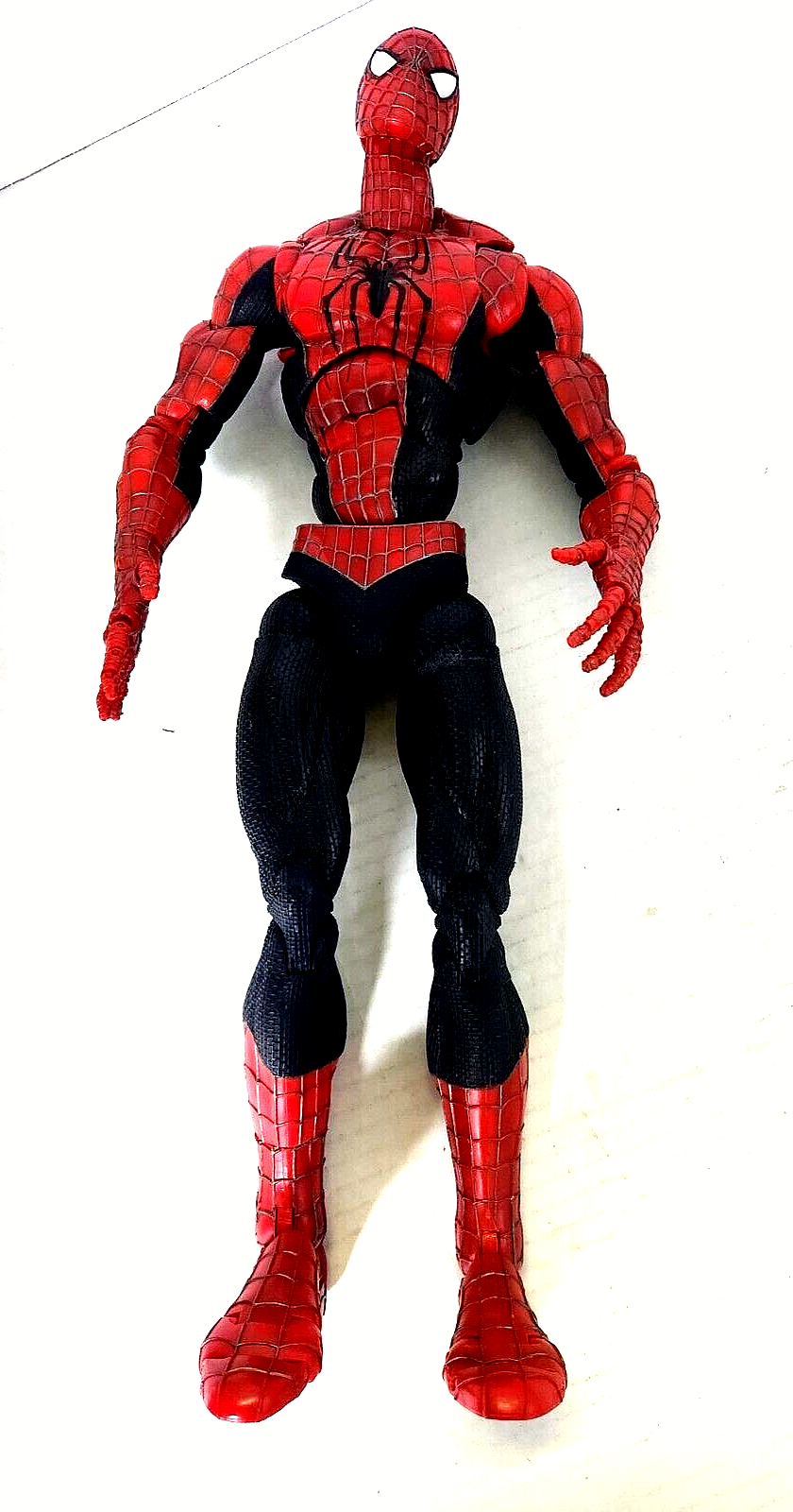 Spider