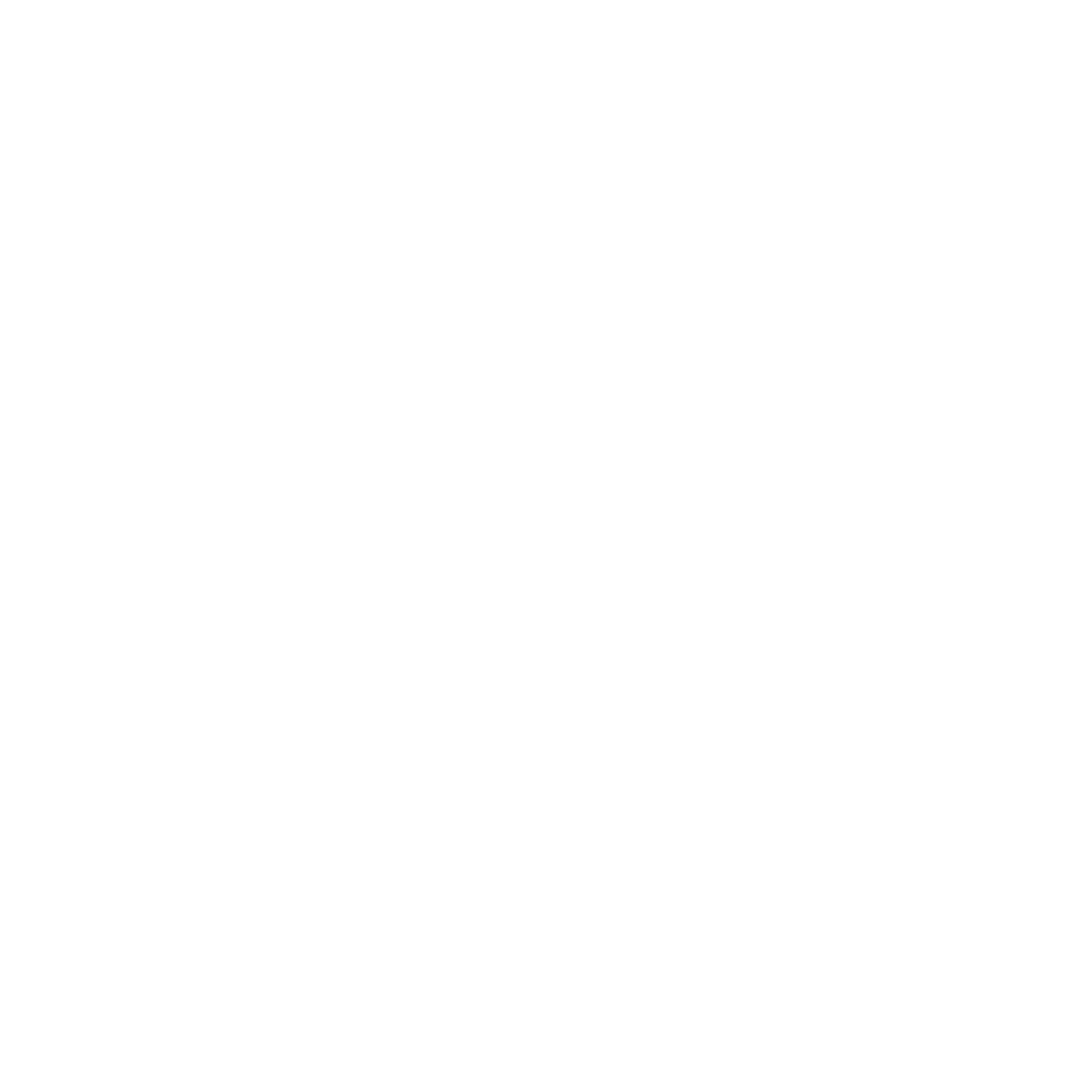 Save icon