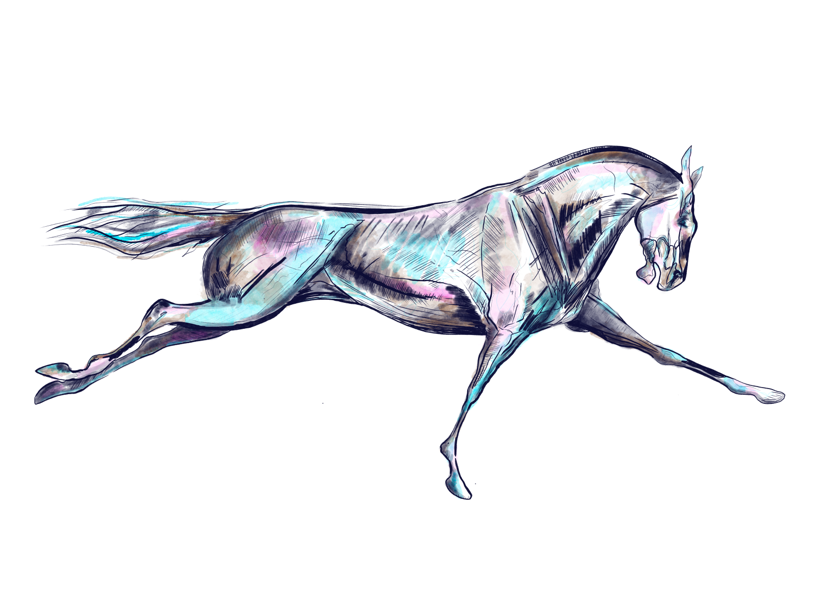 Splash of color in horses ð by anna zinchenko on