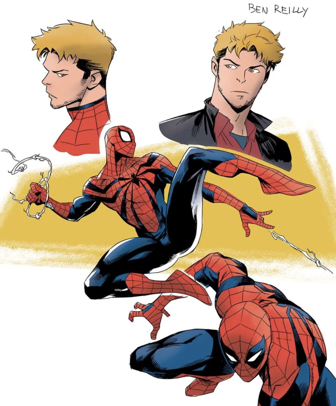 Spider