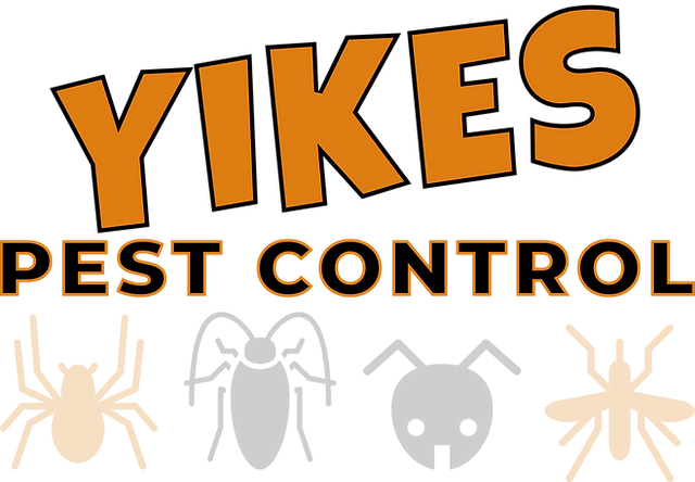 Types of dangerous spiders found in southern indiana brown recluse spiders black widow yellow sac
