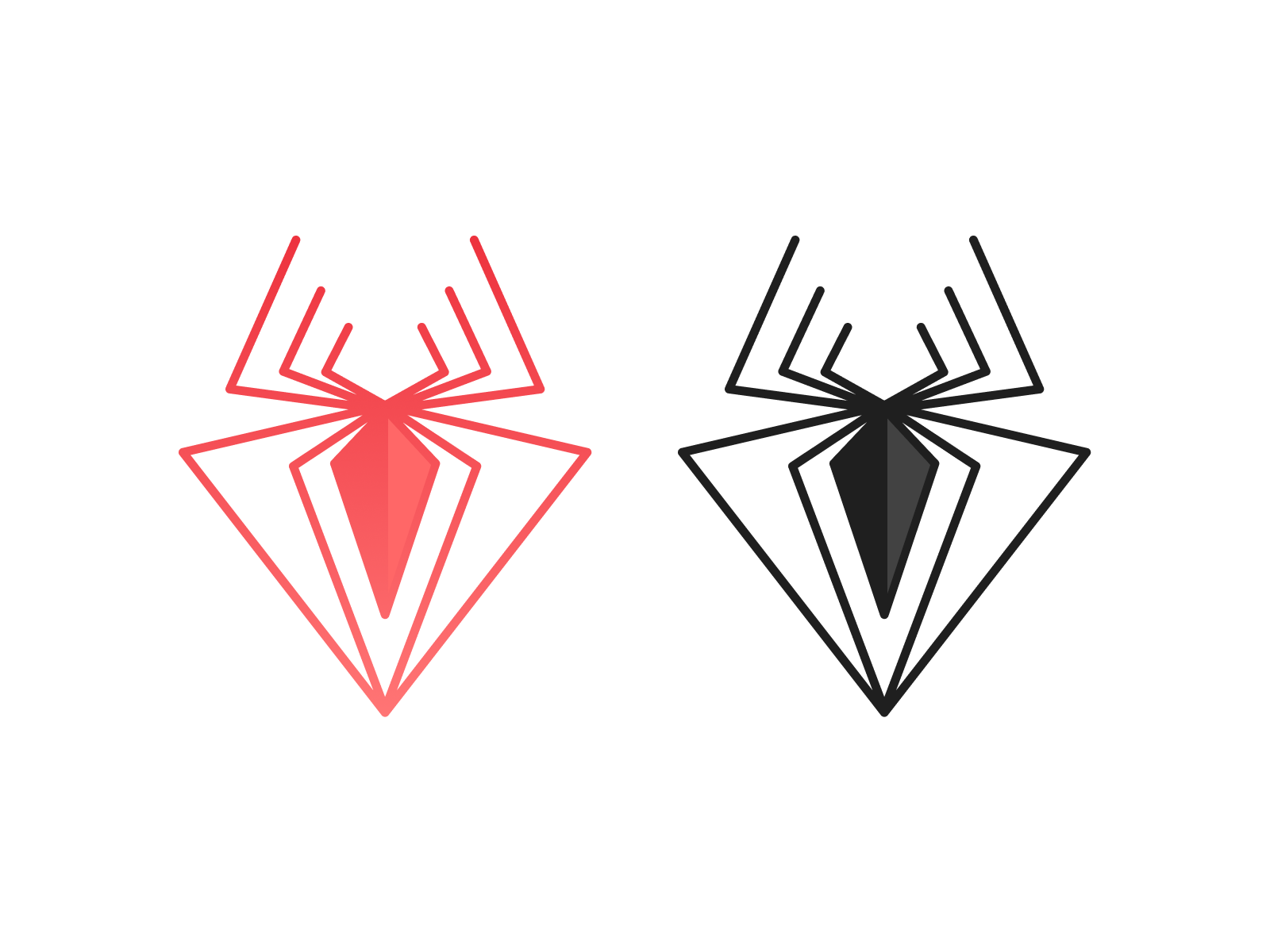 Spiders by nour on
