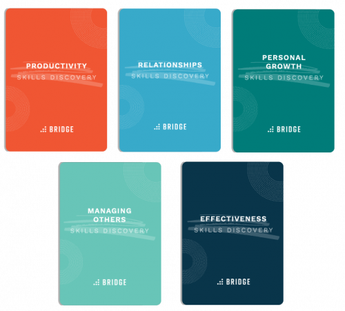 Skills discovery card game for managers and employees bridge