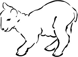 Lamb